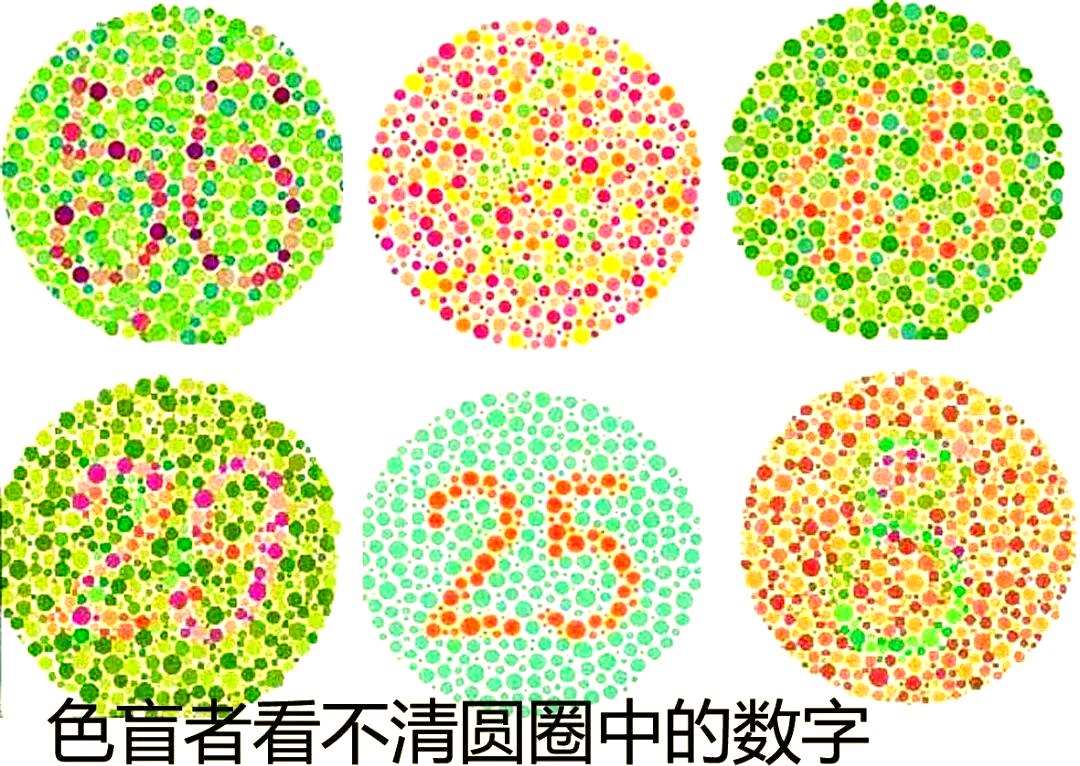 四色视者与色彩感知 十亿色彩显示技术解析