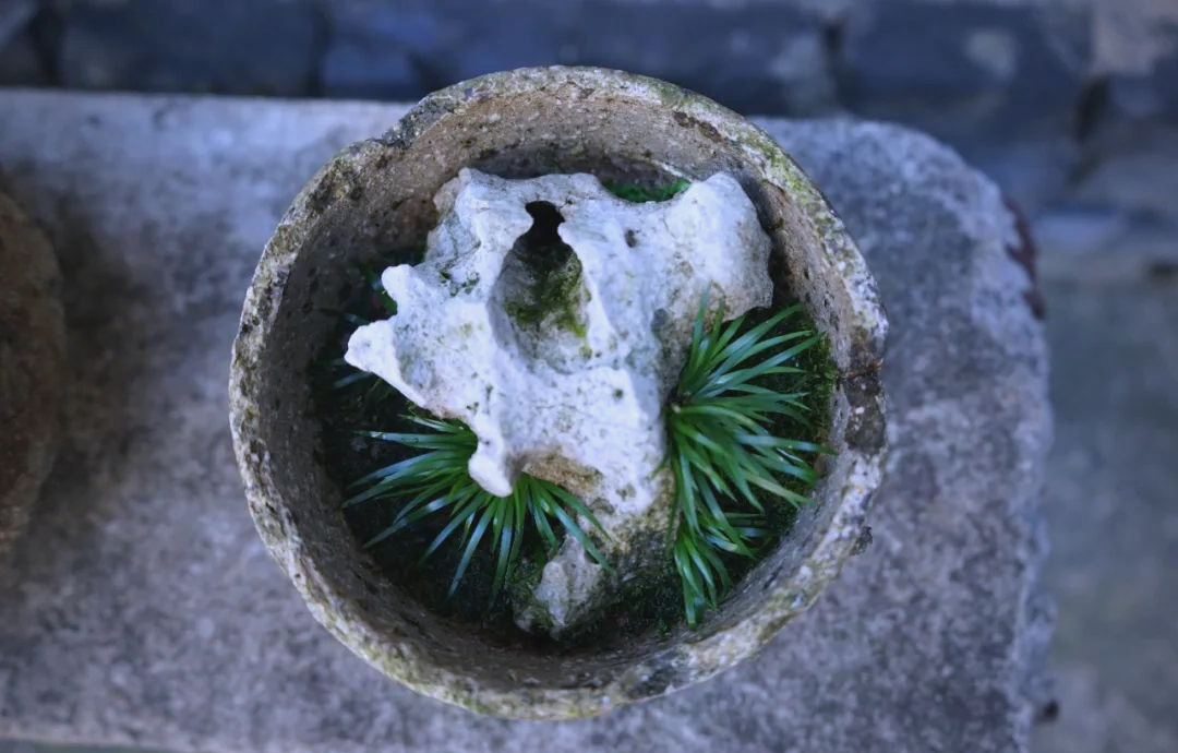 一大新闻：广州白云区蒲友论坛究竟靠谱吗？真实体验与长期观察分享