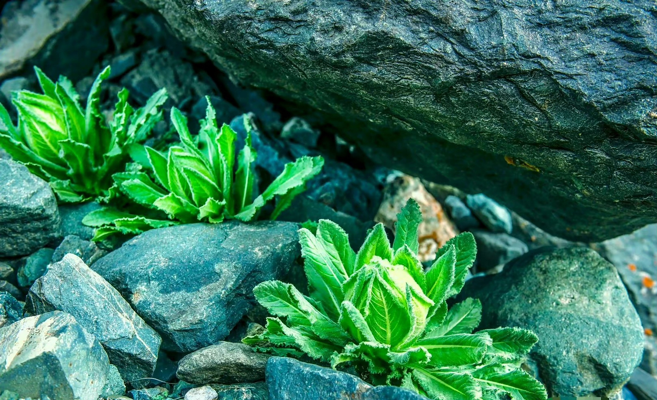 根据消息来源指出：贵阳解放西路老车管所黑脚杆｜2025年实测避坑三步法