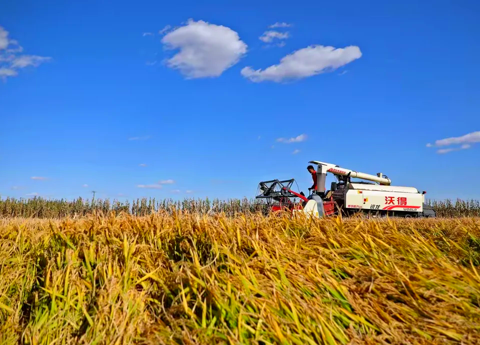 盘锦附近人上门一百元三小时