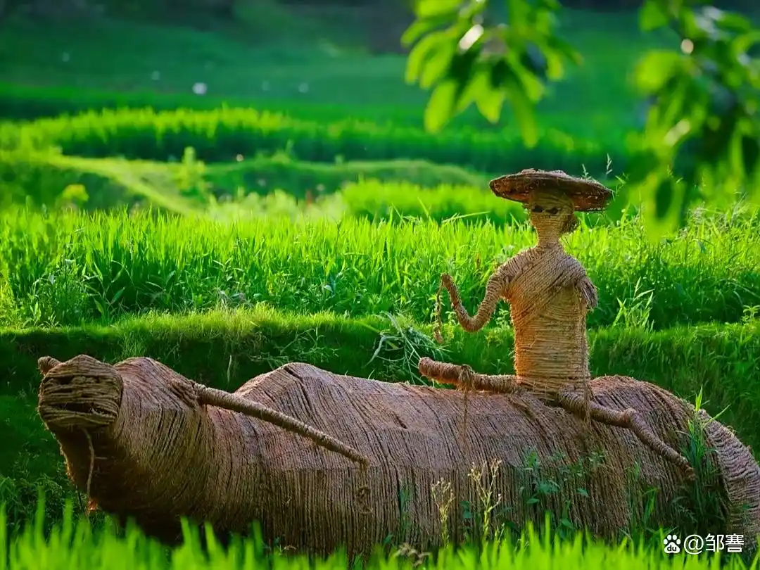 淮北在陌陌上怎么看出来是小姐