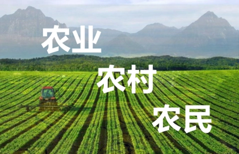 三农是什么 新三农有哪些变化