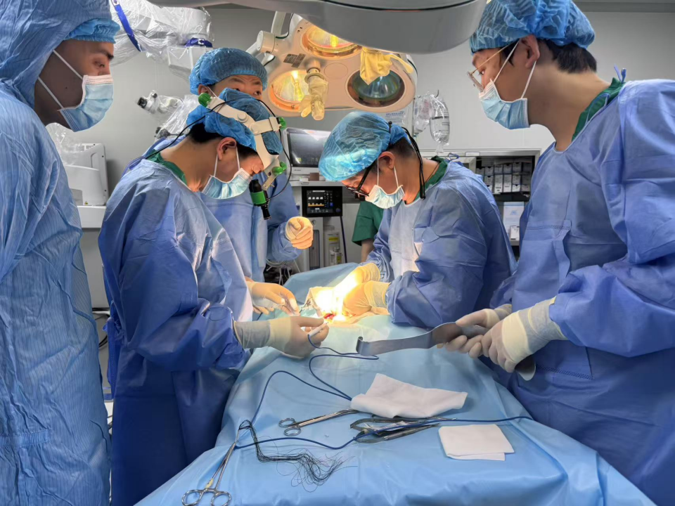 子宫移植，真的靠谱吗？...