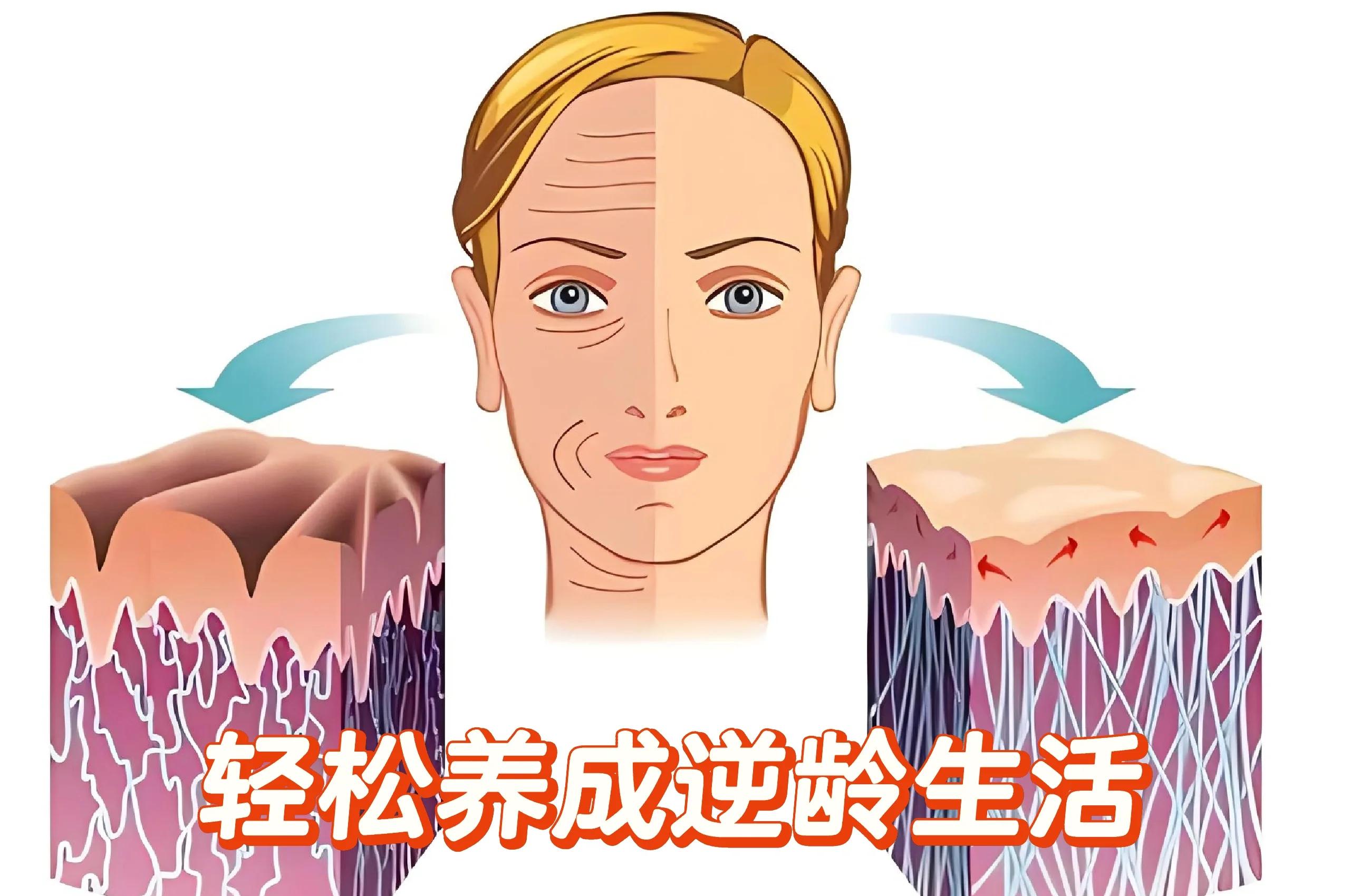 如何让衰老减速?