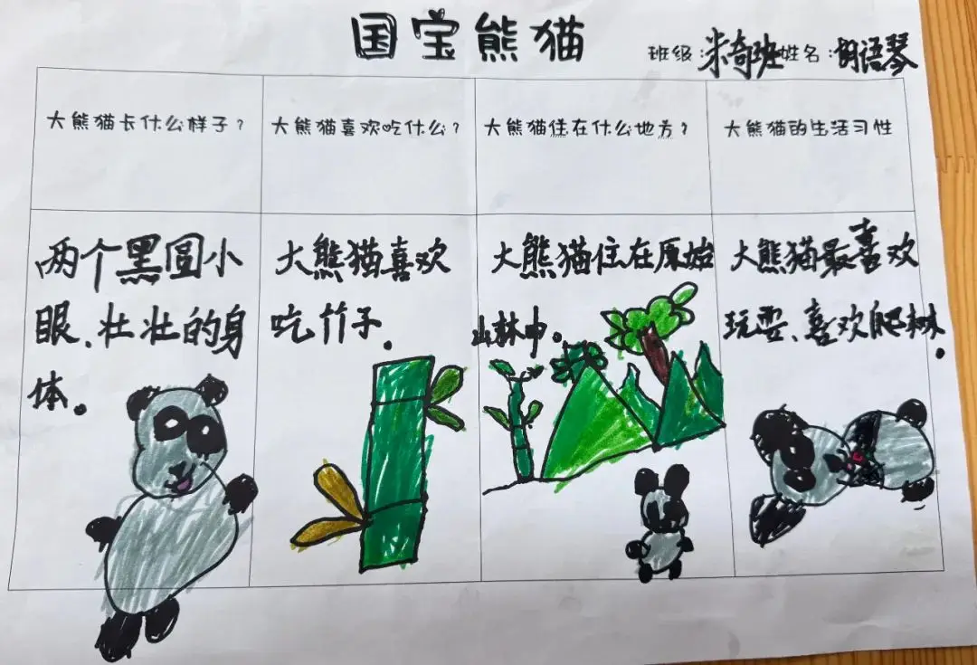 大熊猫名字由来 你不知道的熊猫冷知识