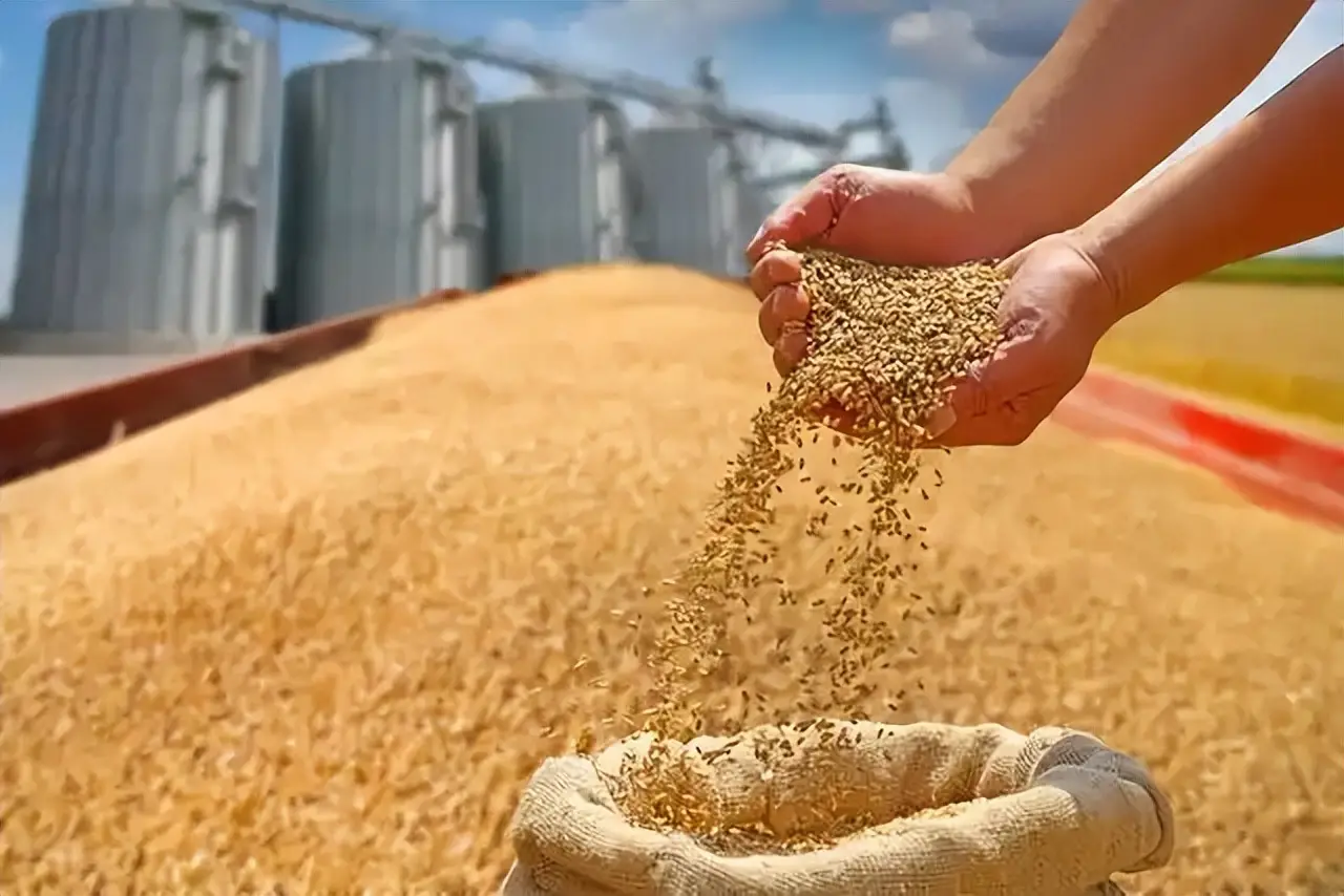 中国粮食储备够吃多久 中国出口粮食吗