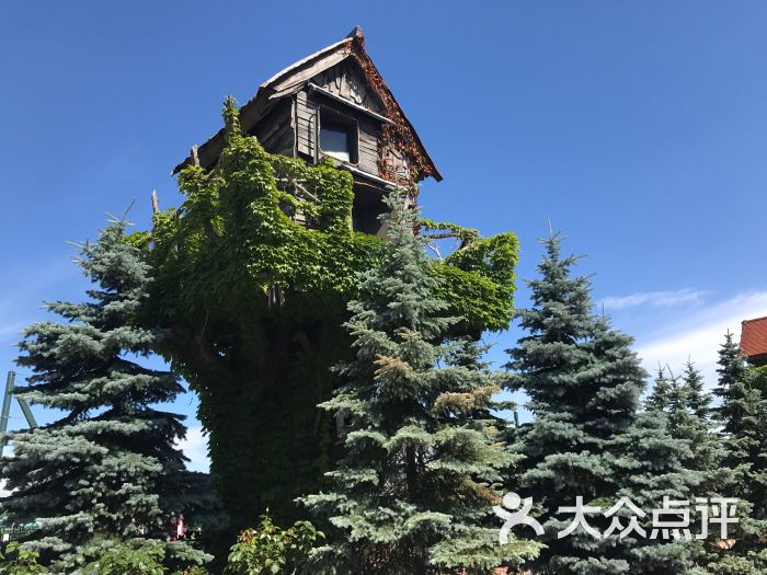 在札幌,如何体验我的“白色恋人”?...