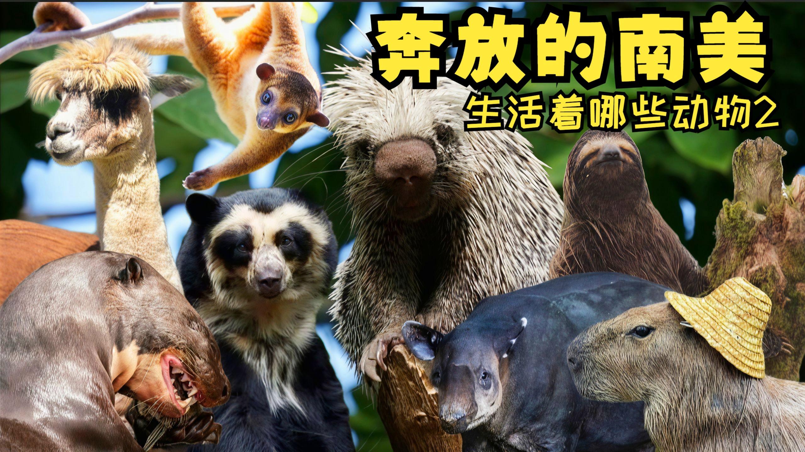 政府官员公布消息称,东郊到家法式spa是做什么?2025年服务内容与体验全解析