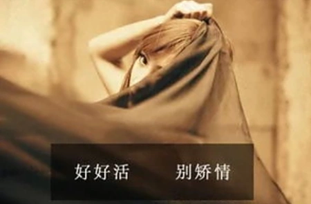 矫情是什么意思 矫情的四字成语有哪些