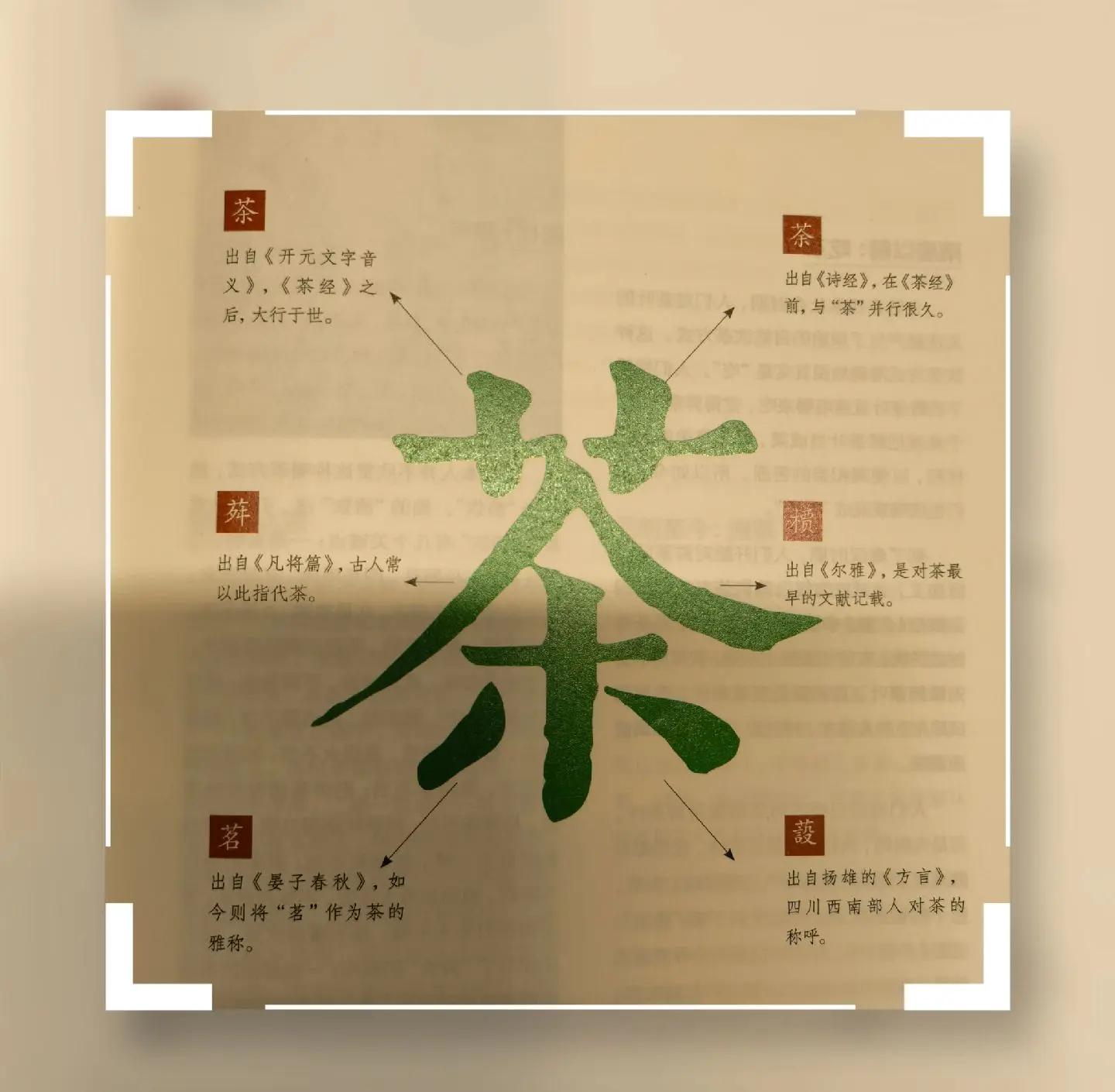 茶字由来与奥秘 茶和荼的区别在哪