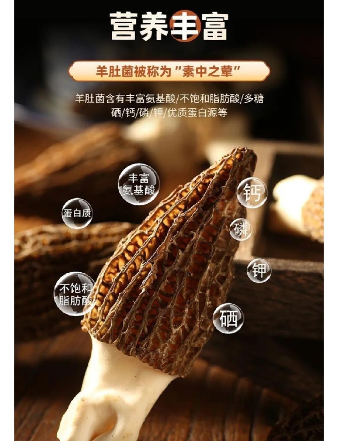 羊肚菌图片