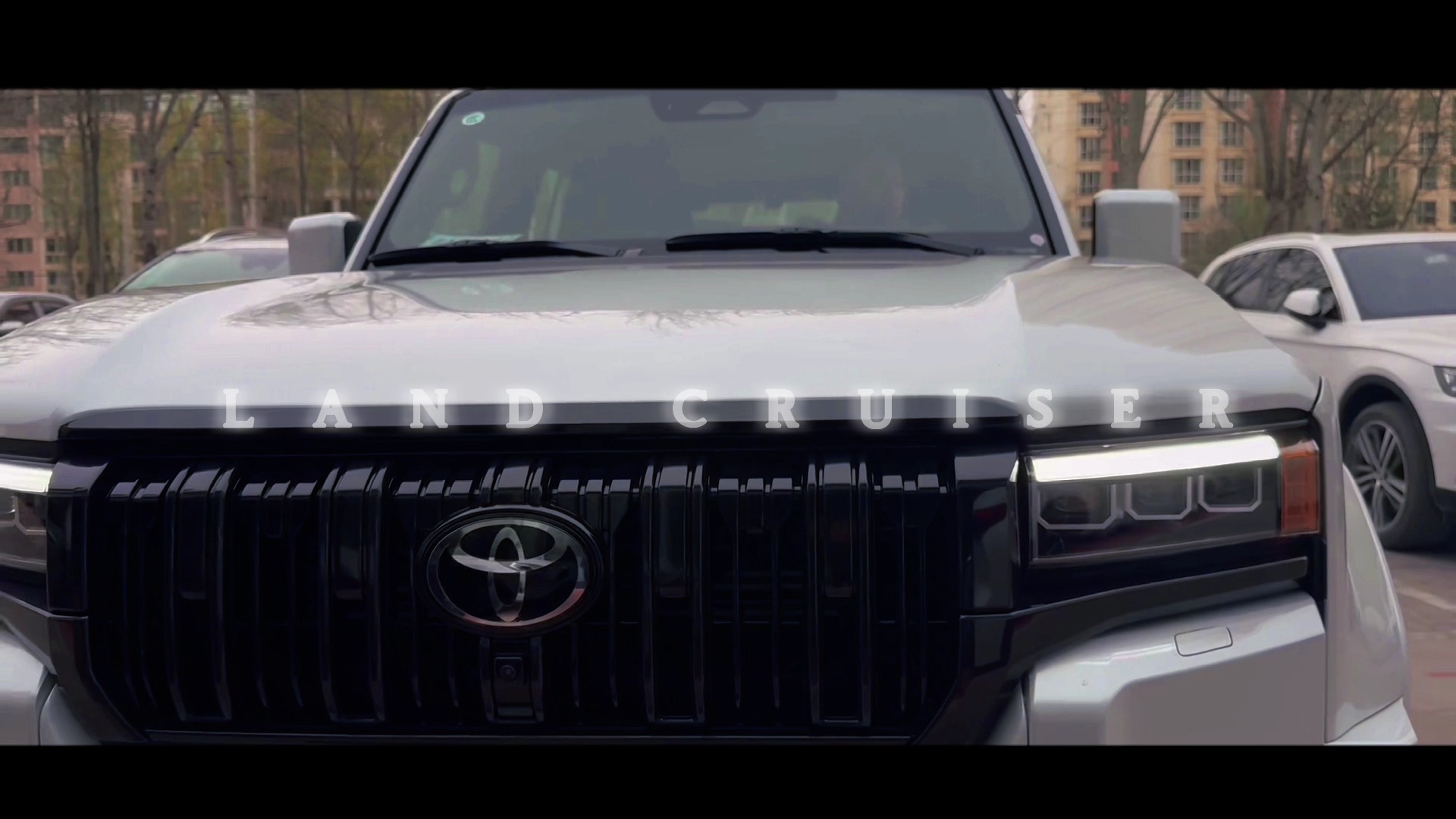 抚顺高端茶vx的预约方式