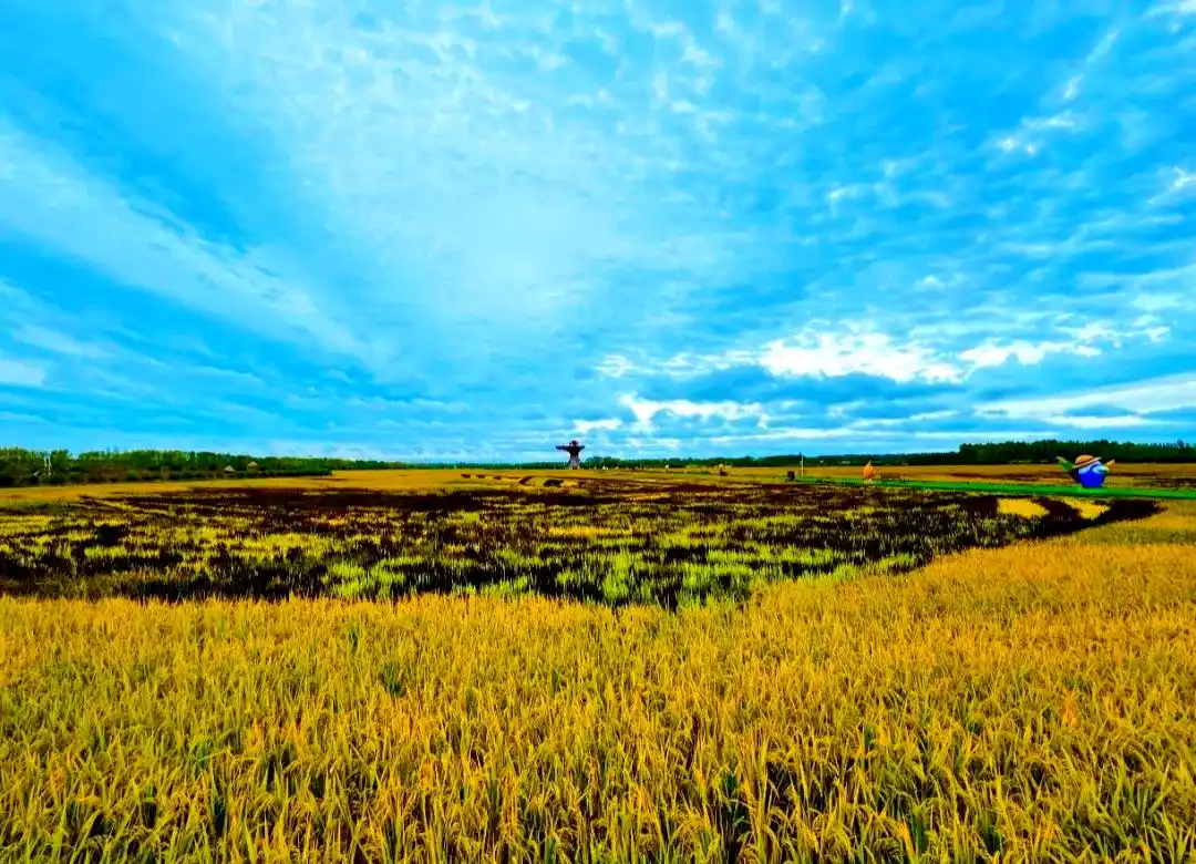 三江平原还需开垦吗 中国最大的沼泽区是哪一区域