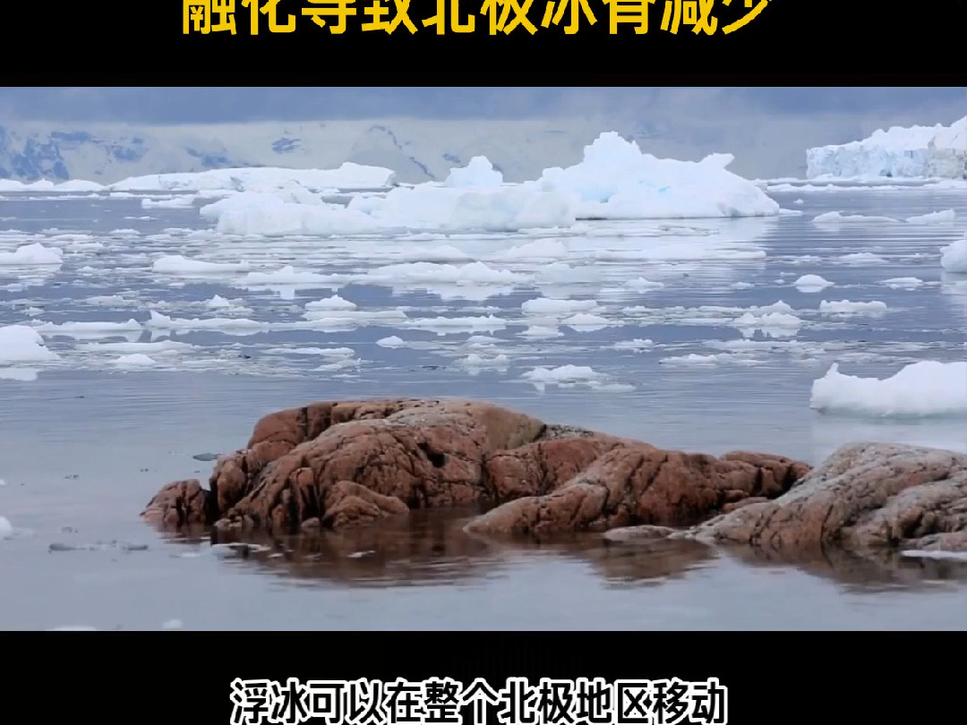 北极冻土融化到底会释放远古病毒吗？你必须知道的真相！
