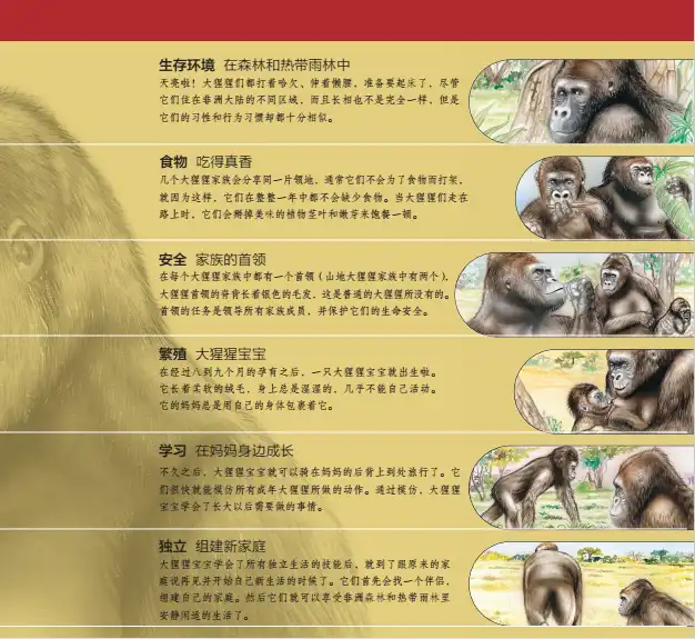 人类与灵长类起源 地球文明发展历程