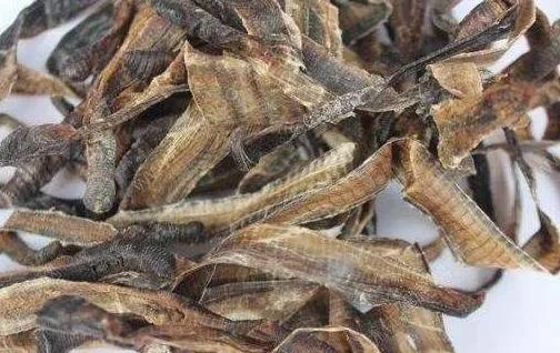 中药地龙的功效与作用 地龙对血管斑块的功效有哪些