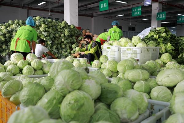 蔬菜配送公司需要具备哪些条件 宜昌蔬菜配送公司有哪些