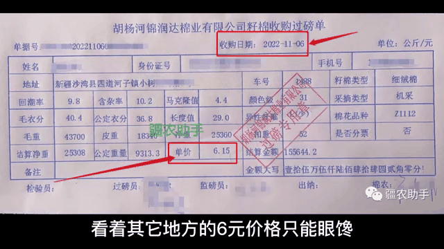 新疆棉花价格最新动态 新疆棉花收购价是多少钱一公斤