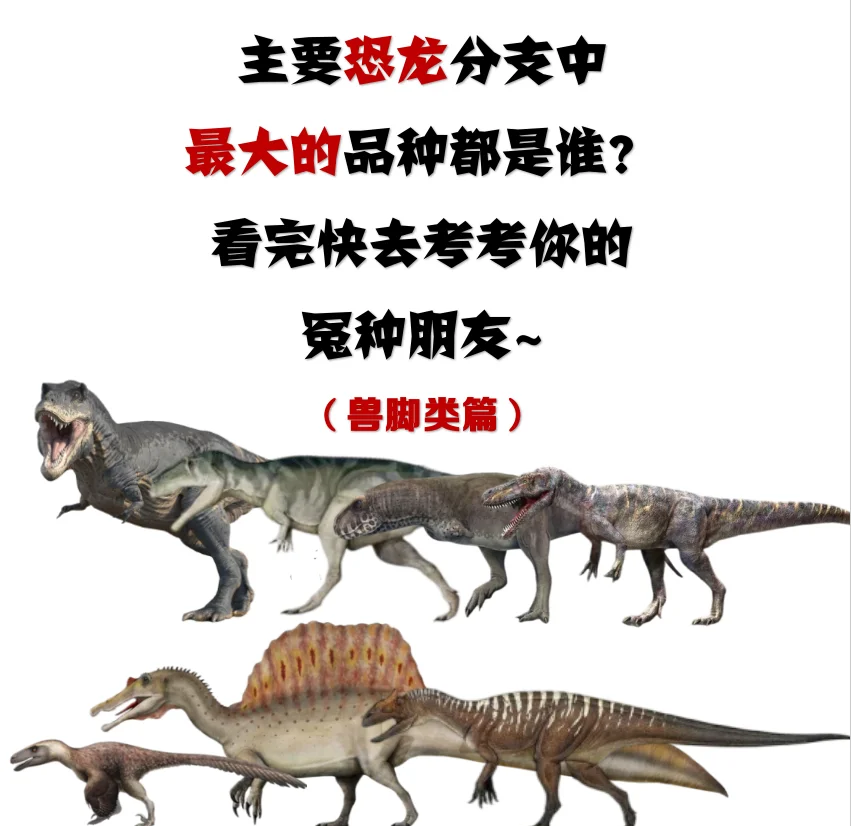 史上最大恐龙盘点 易碎双腔龙到底有多大