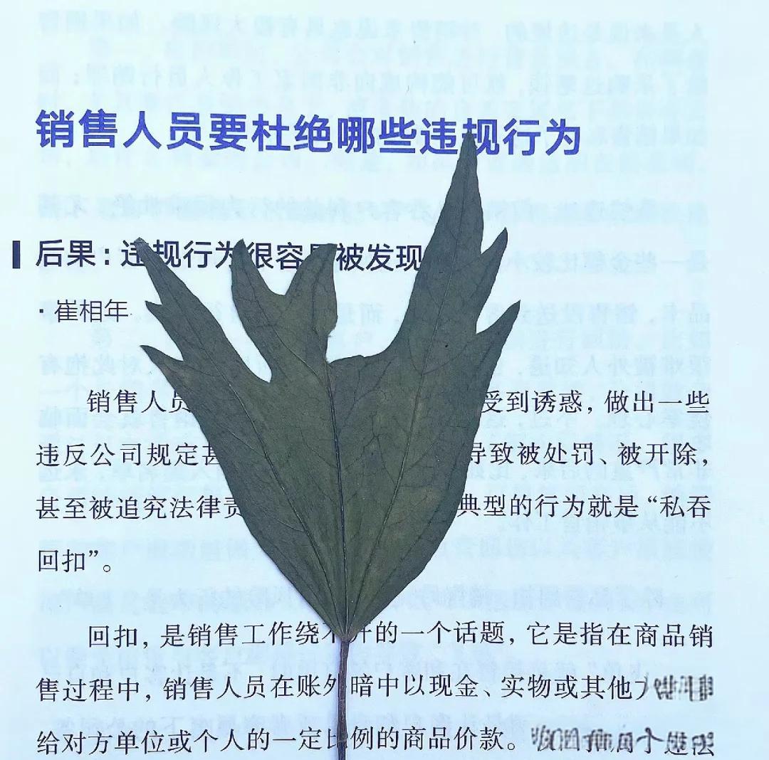 小姐选择快餐服务而非单吹的经济与心理分析