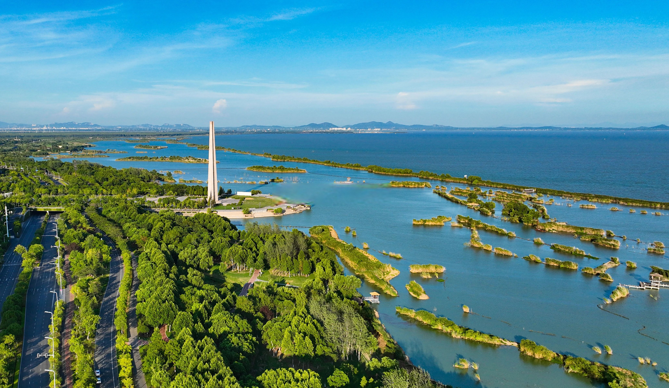 合肥包河区哪里野鸡最多呢？实地探访揭秘合肥包河区的特色和风景