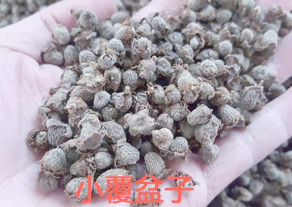 覆盆子价格