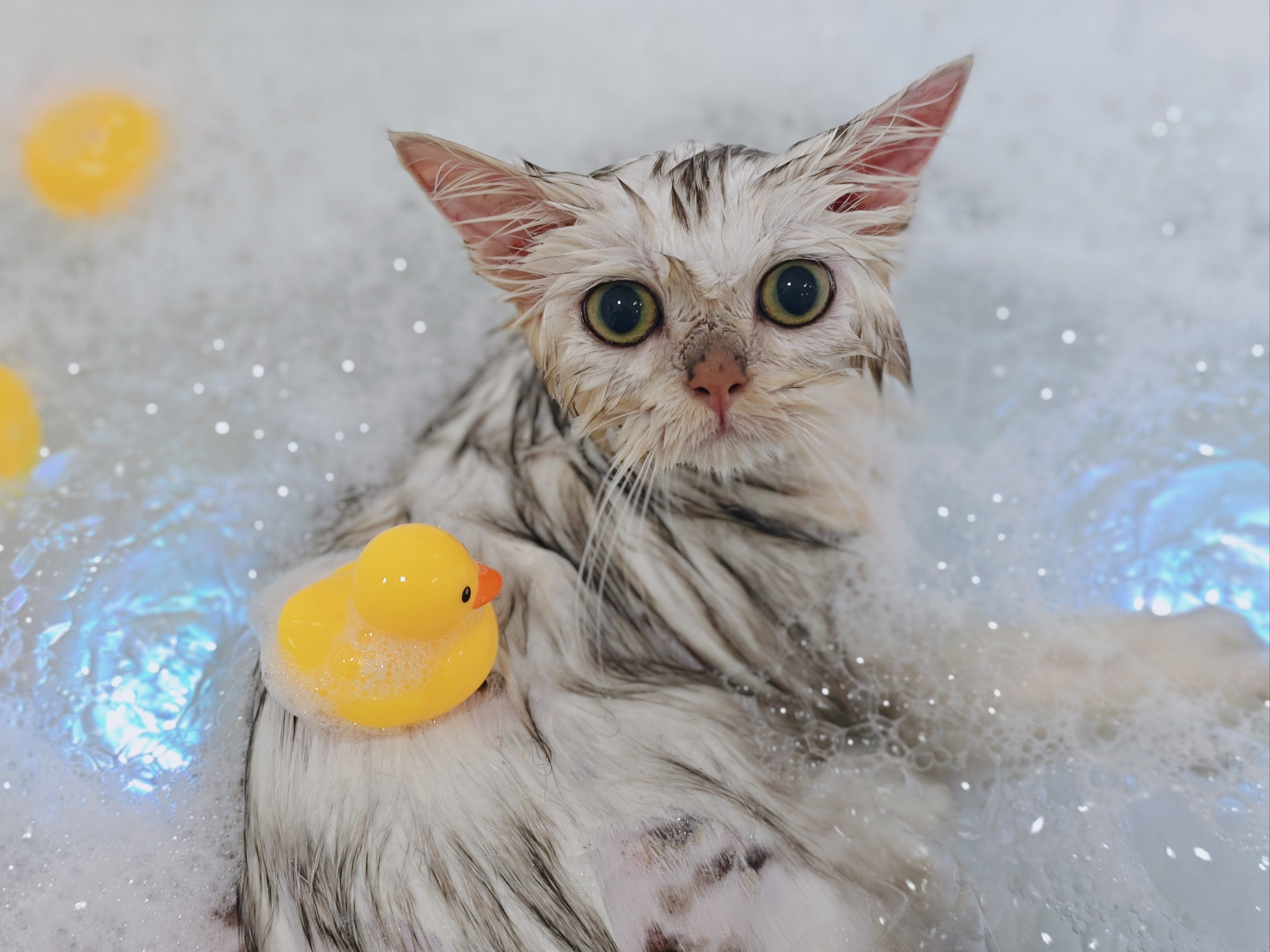 警告提醒：郴州汉城泡澡做些什么？省50元+全流程避坑指南