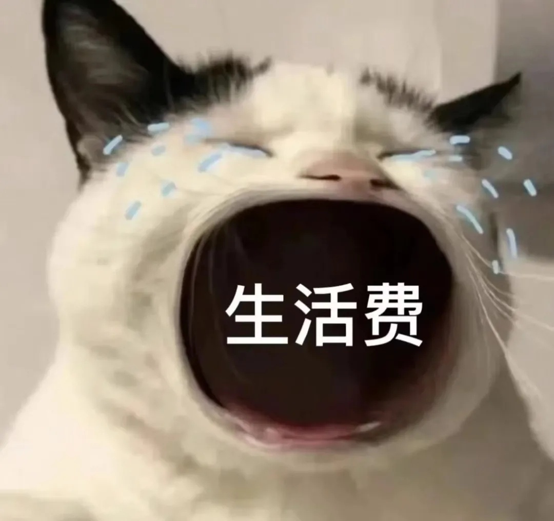 成都大学生如何用400块赚到三小时商务收入的妙招