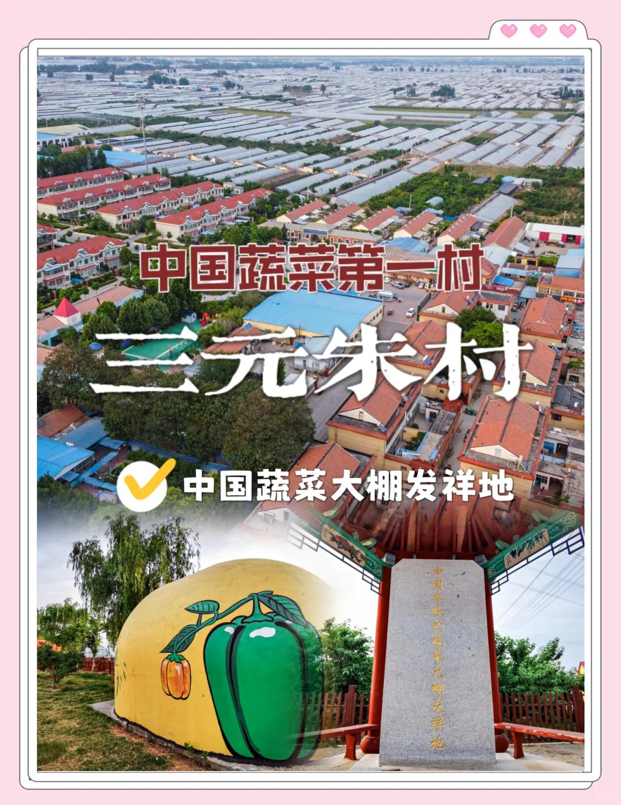 山东寿光蔬菜产业集团