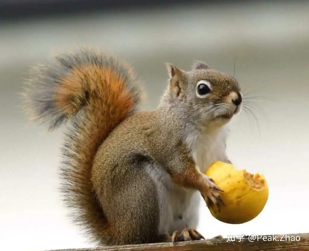 快餐QQ号：数字社交时代里的即刻社交狂欢