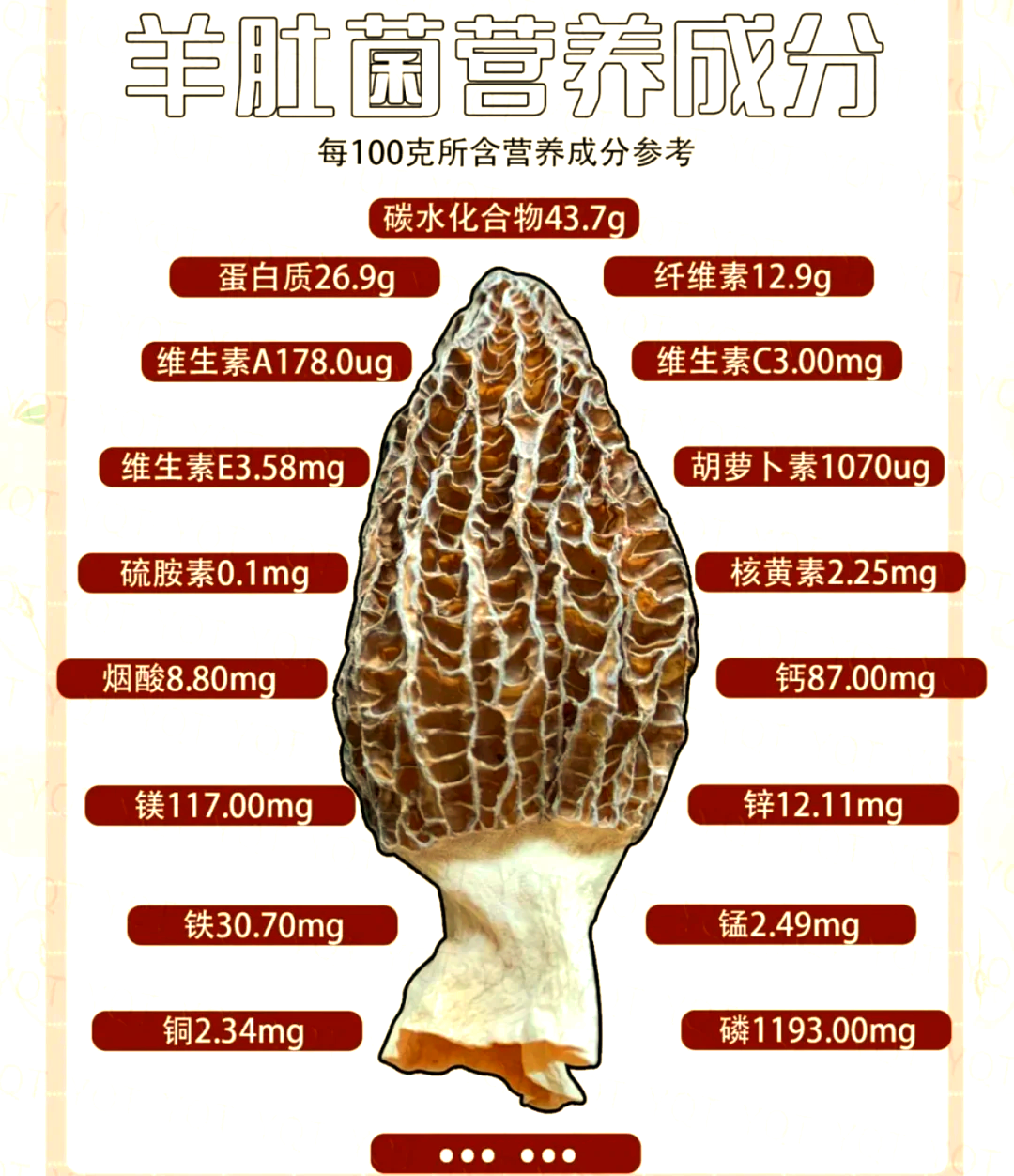 羊肚菌的营养价值与美食魅力 云南菌子种类有哪些