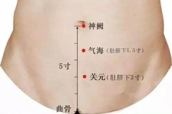 黄芪的功效与作用
