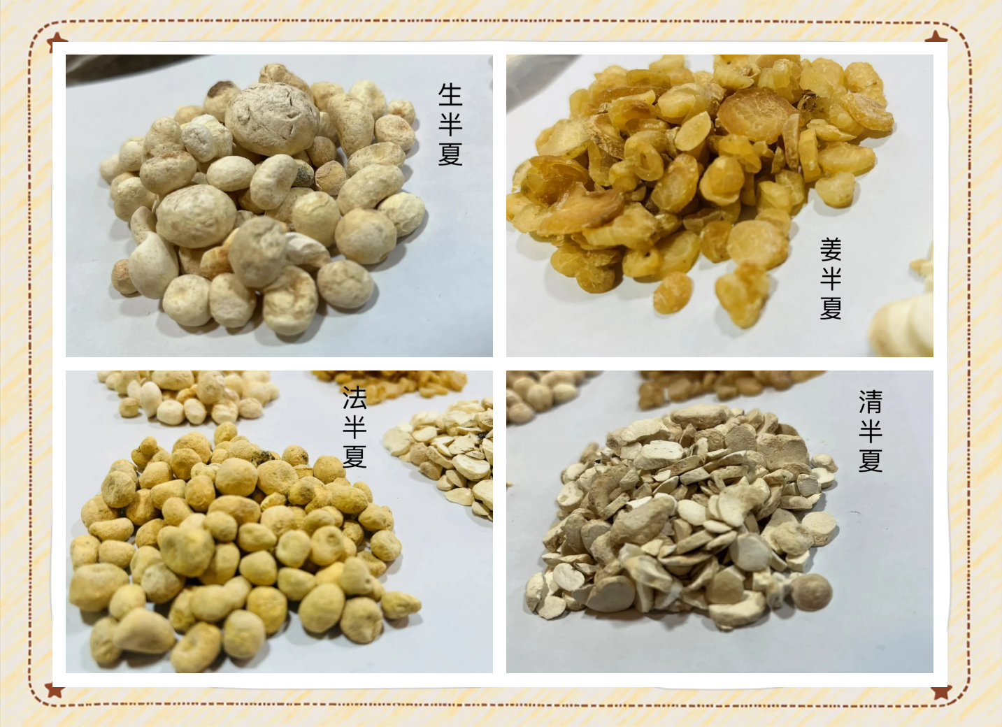 半夏分几种 半夏多少钱一斤