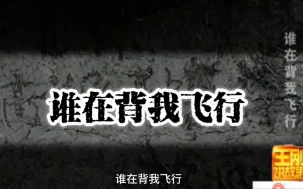 黄延秋飞行事件真相 谁在背我飞行揭秘