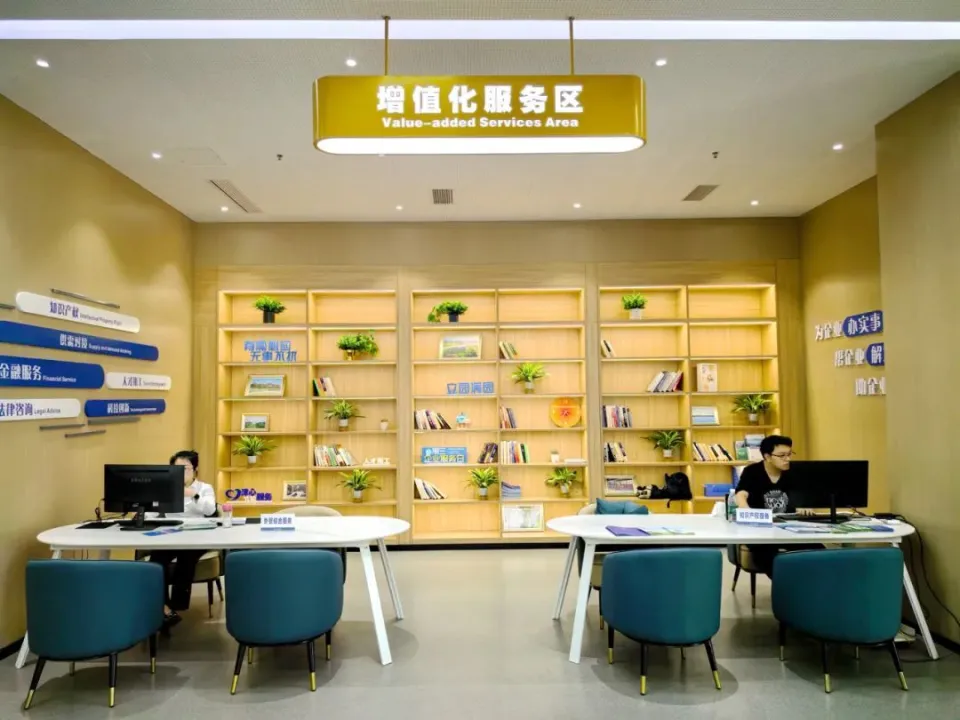 追踪动态：东莞服务名称具体项目到底靠不靠谱？真实体验与深度解析