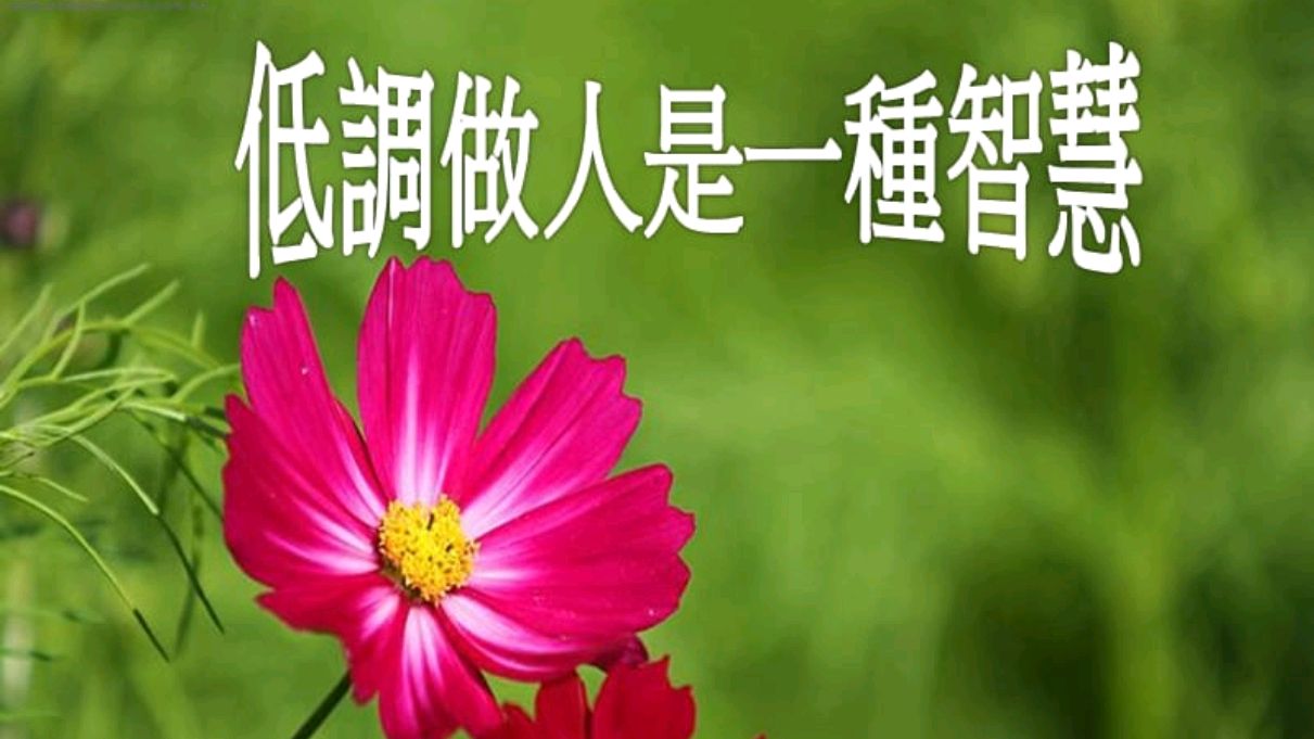 低调做人七条天规 真正有本事的人为何低调