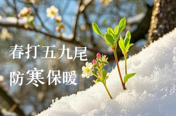 异地办事总跑断腿？全国900城空降服务电话解忧