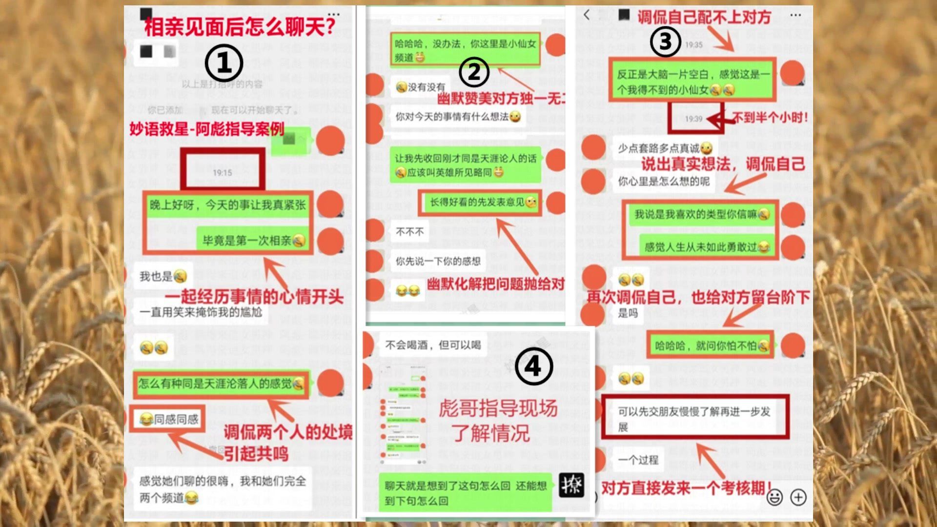 新手如何轻松自然地加到女生微信