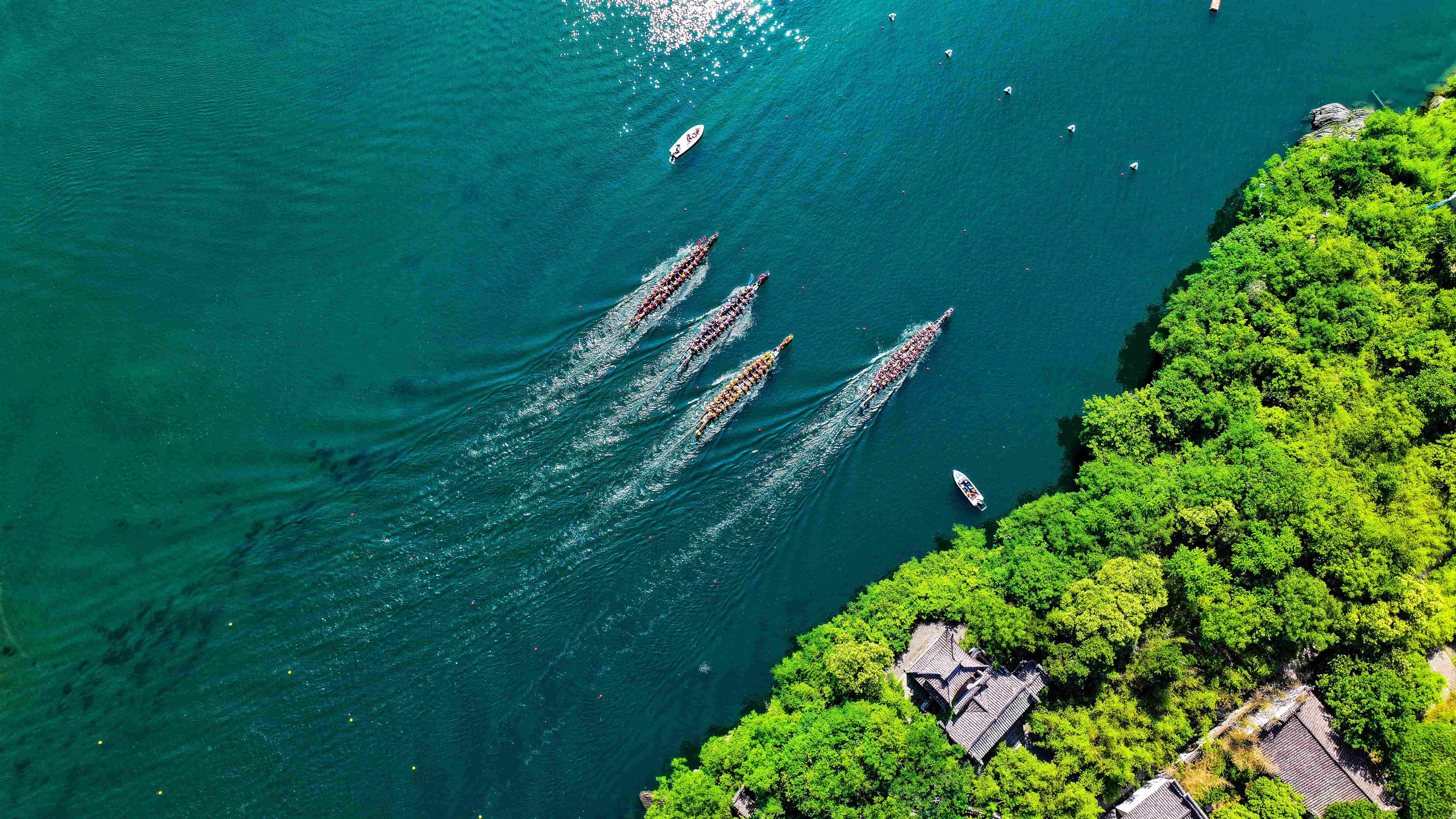 近日曝光的,特殊日本精油按摩 2025年实测指南与避坑技巧