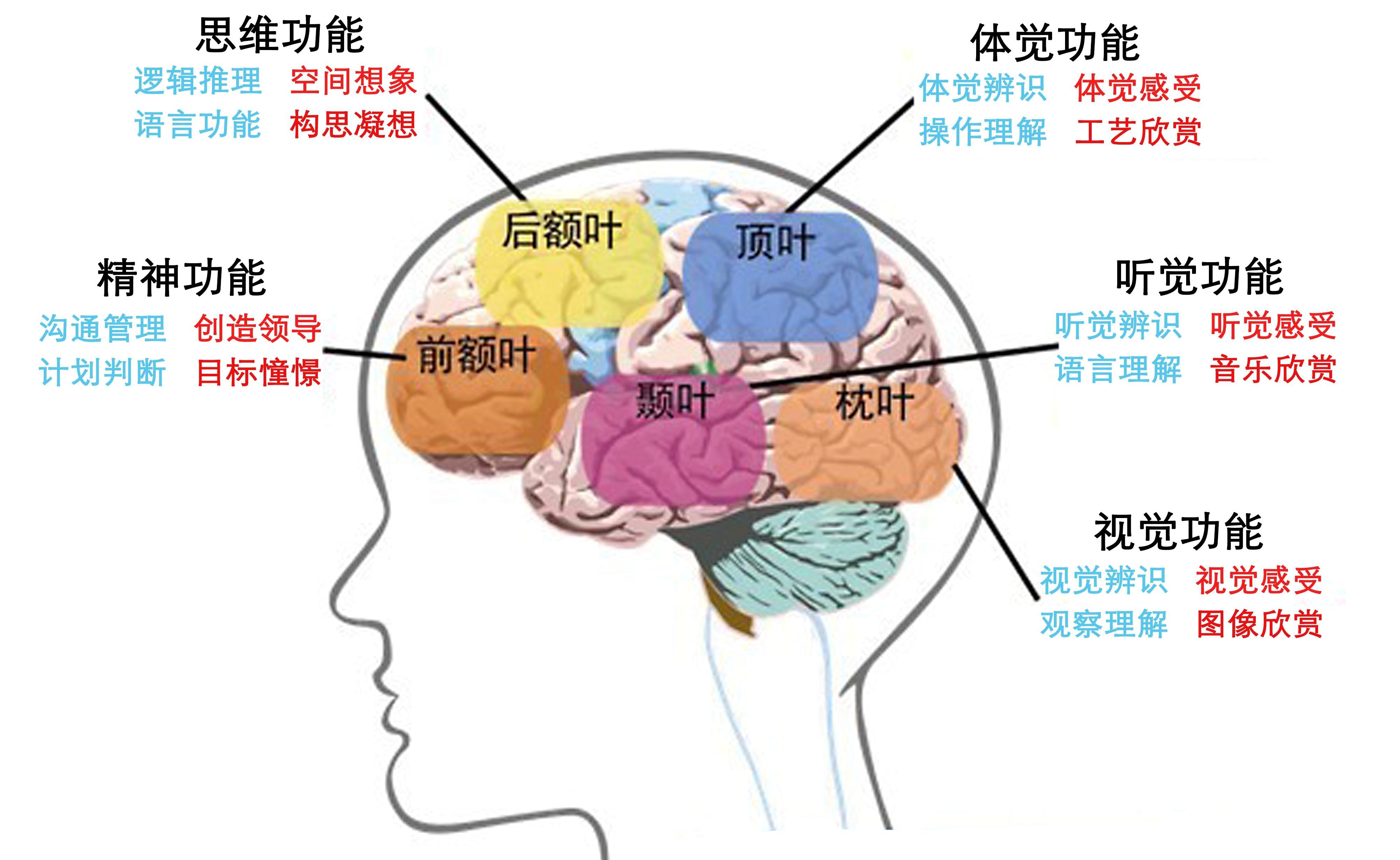 大脑发炎引发痴呆 哪些植物提取物预防变笨