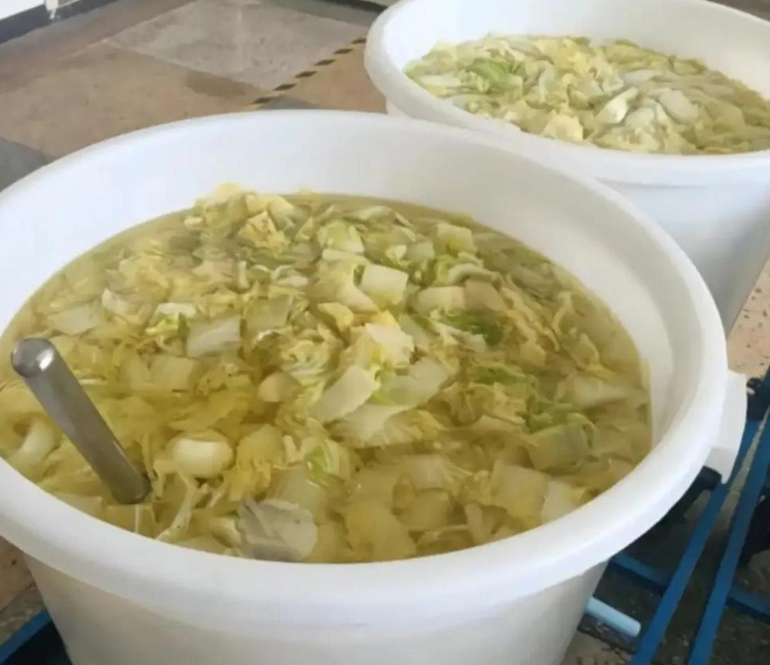 “银发罪犯”翻两番,透露出日本怎样的牢饭文化?...