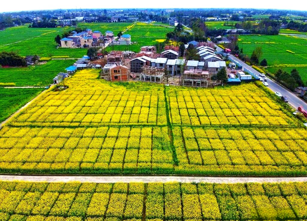 崇州品茶私人工作室聚集区在哪儿 找找崇州市的茶香角落