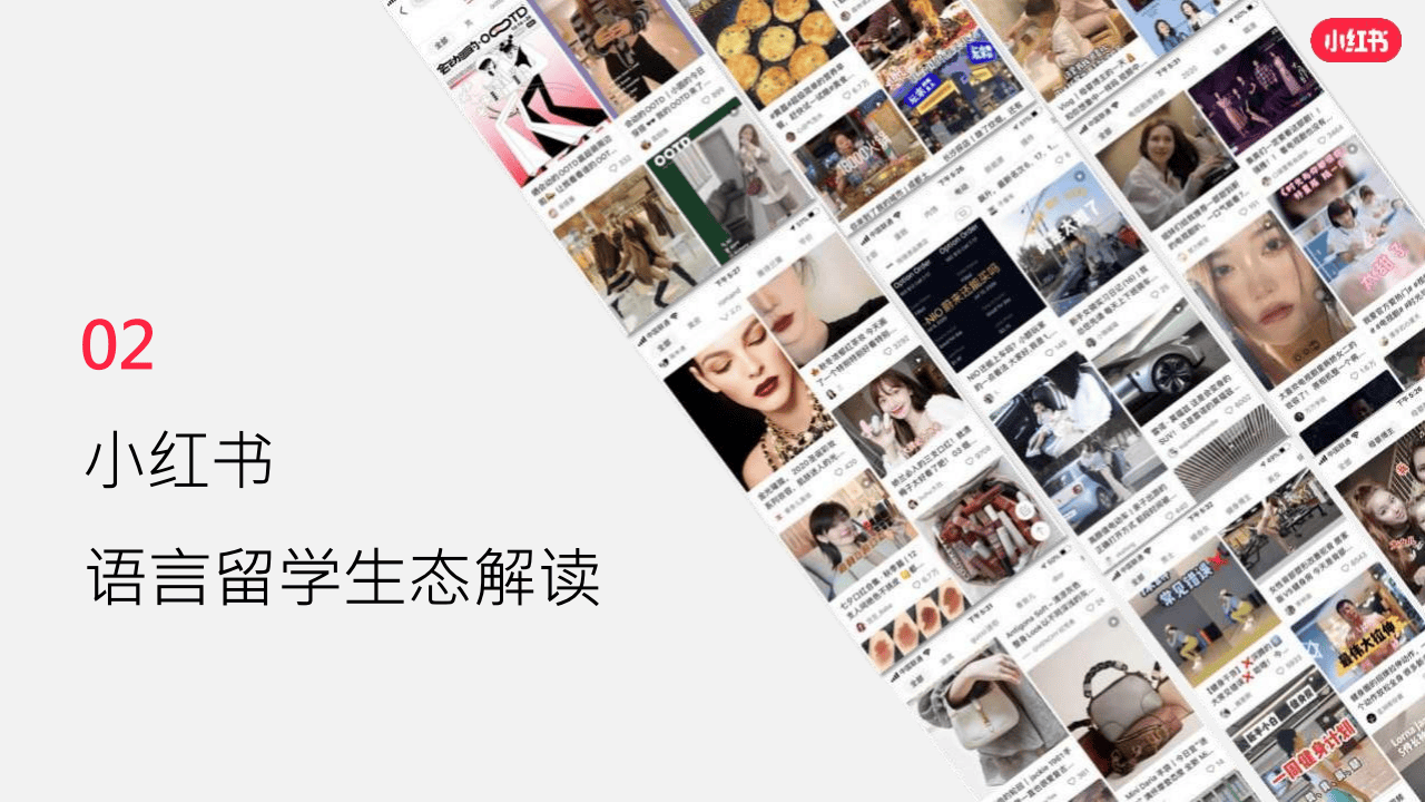 2024小红书找妹妹暗号全攻略:从入门到精通的手把手教程