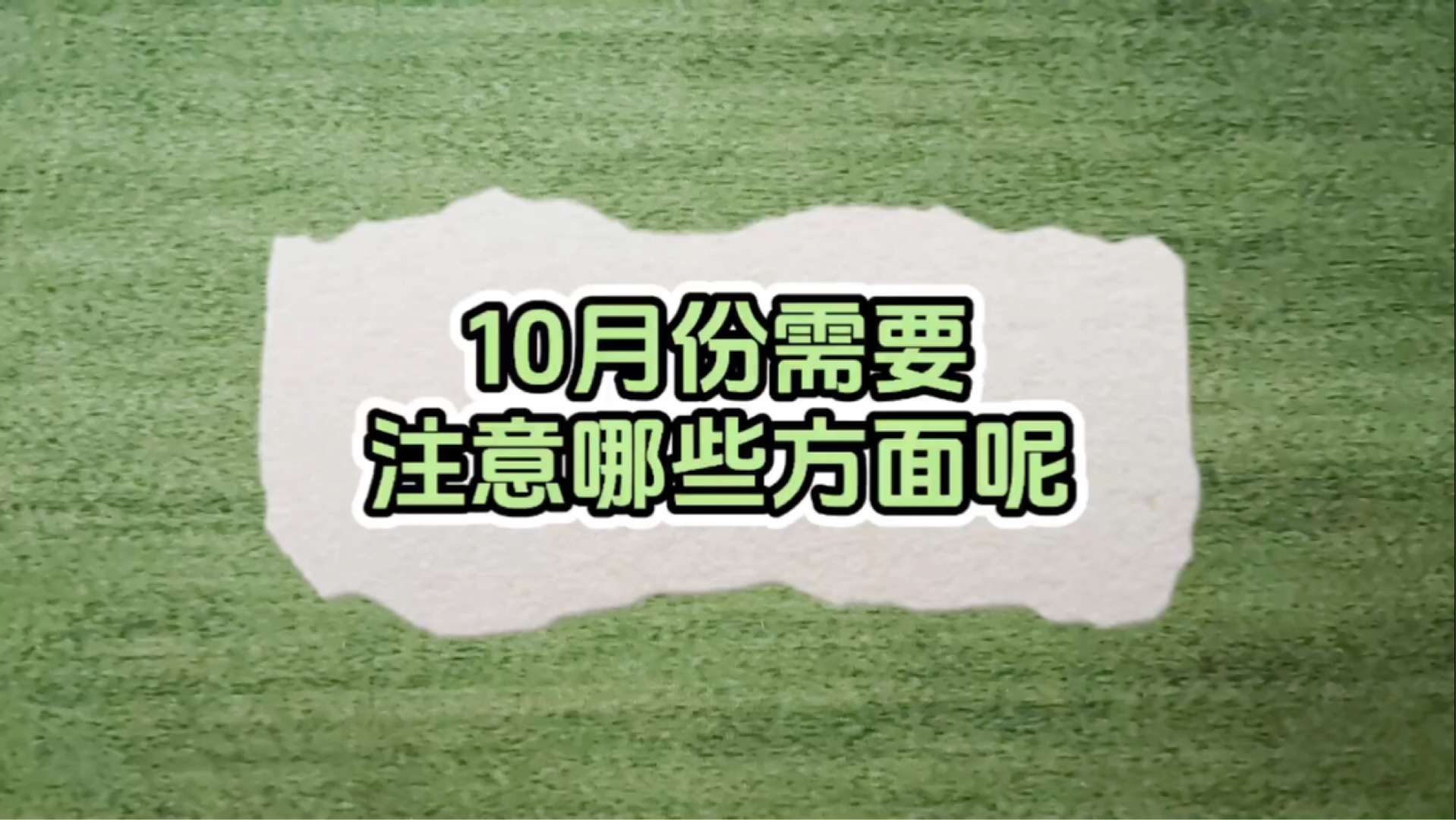板蓝根的功效与作用
