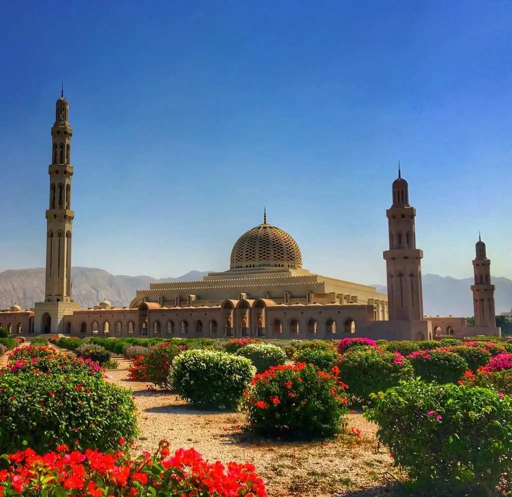 化工iis代表什么