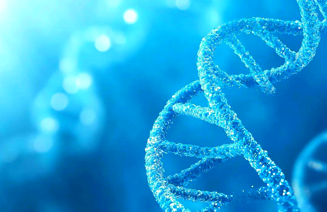 为什么突变基因能揭开“秘密犹太人”之谜?...