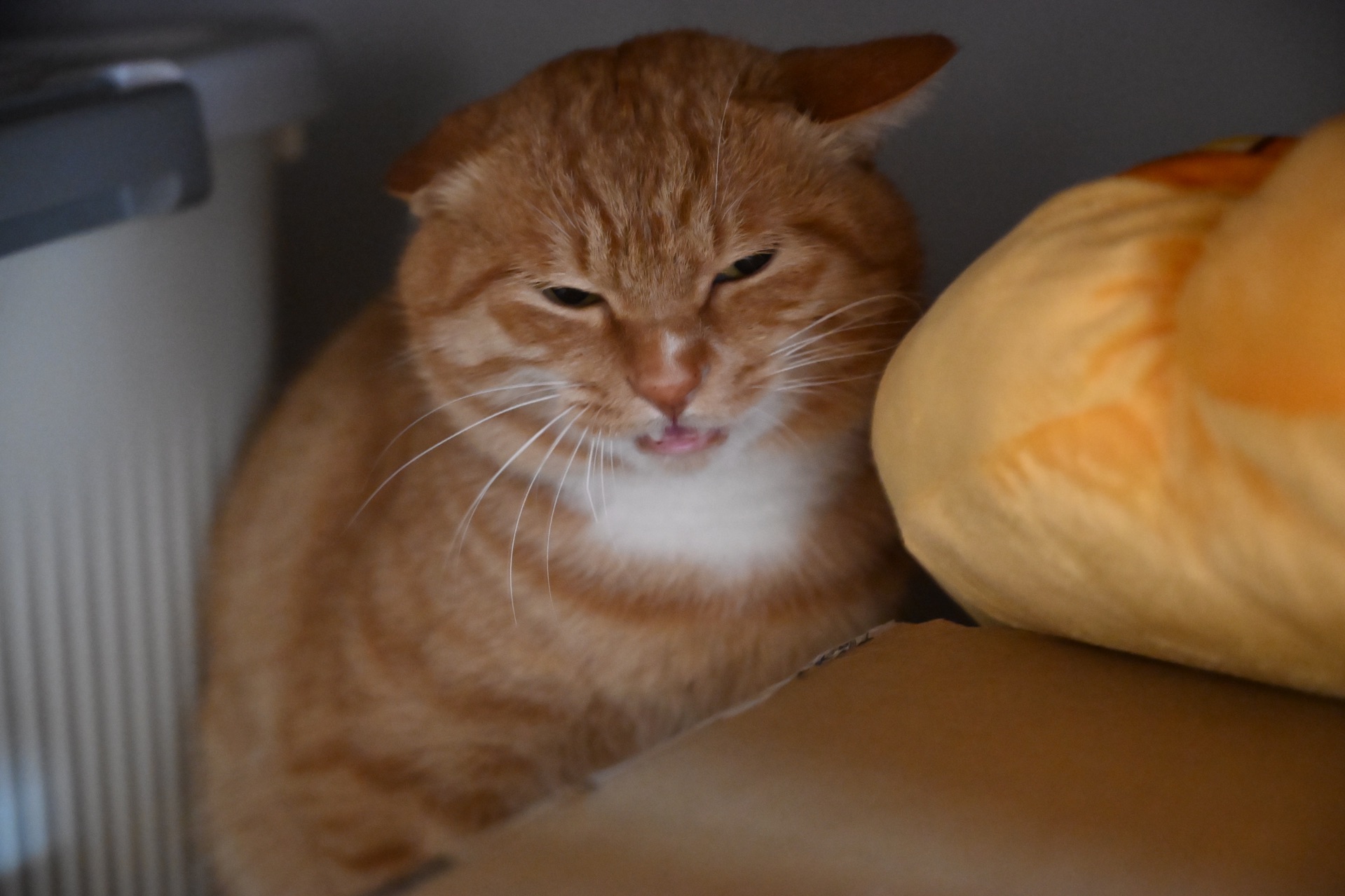 从陌生到联系：当代成年人社交破冰的合规操作指南