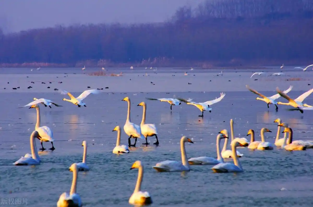 三门峡公寓女孩怎么联系及相关住宿条件介绍