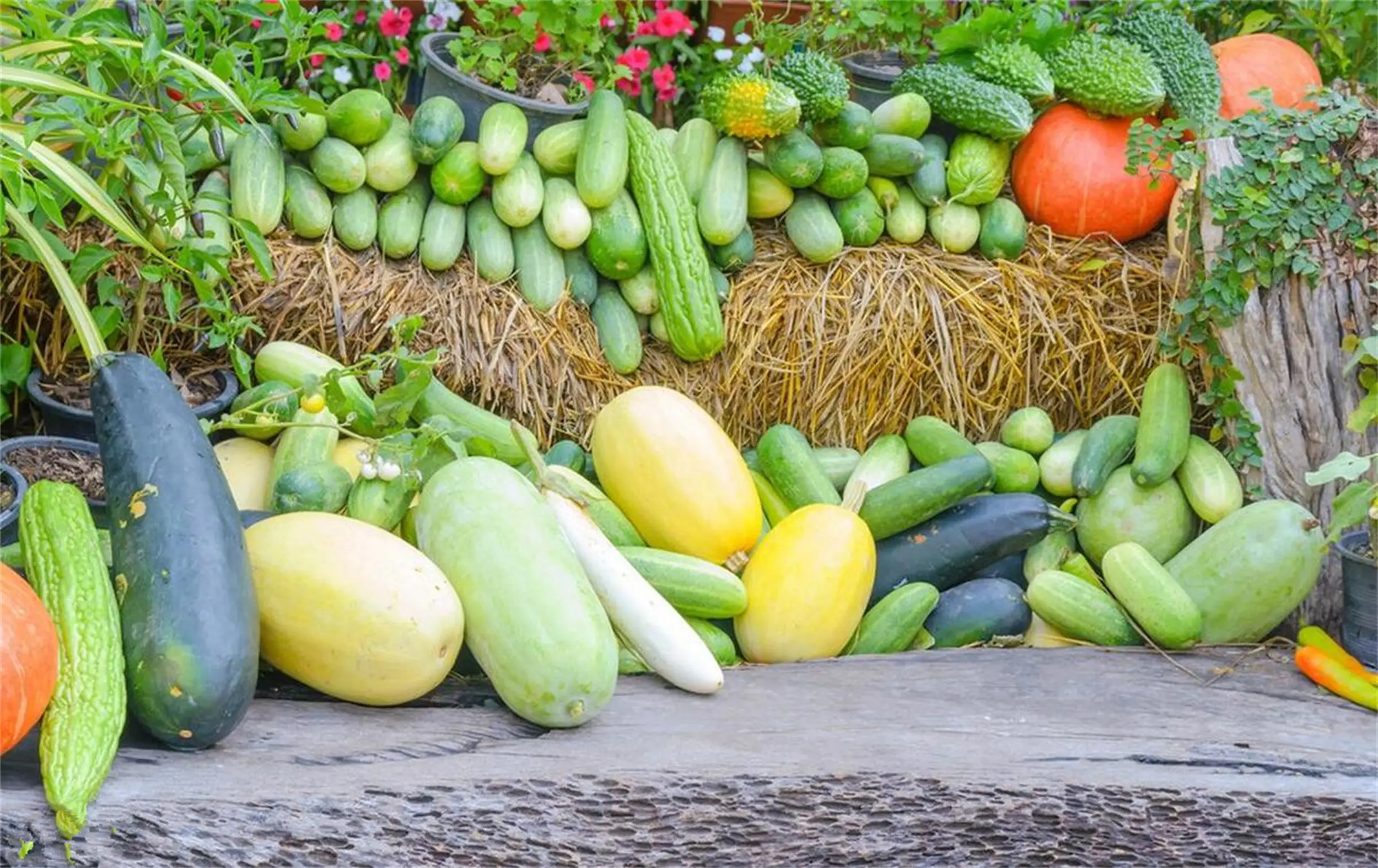 夏天吃什么水果蔬菜好 夏季饮食养生秘诀