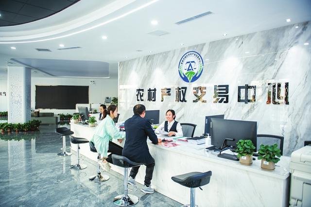 国家粮食交易中心资金冻结怎么办 会员注册流程及年审地点